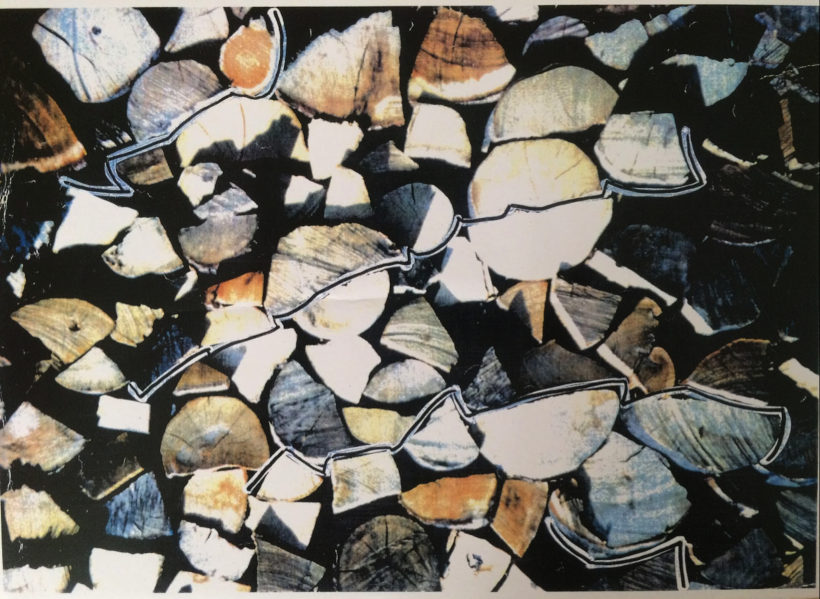PPariaud-Fig2-Firewood-FFrith
